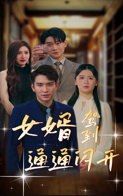 女婿驾到通通闪开 全集完结(大结局)