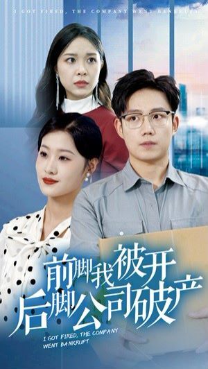 前脚我被开后脚公司破产 全集完结(大结局)