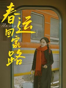 春运回家路 全集完结(大结局)