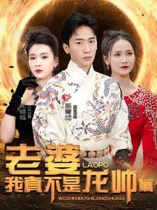 老婆我真不是龙帅啊 第1-20集