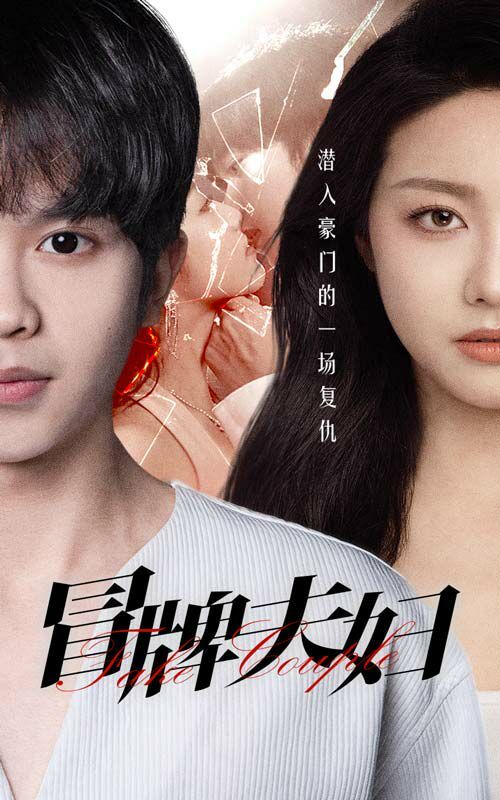 冒牌夫妇 第1-20集