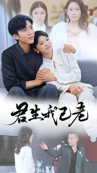 君生我已老 第21-40集