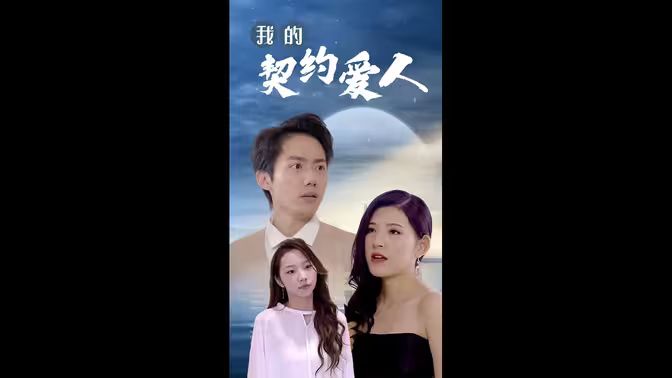 我的契约爱人 第41-60集