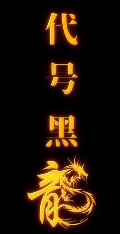 代号黑龙 第21-40集