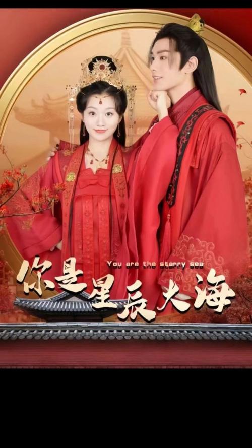 你是星辰大海 第1-20集