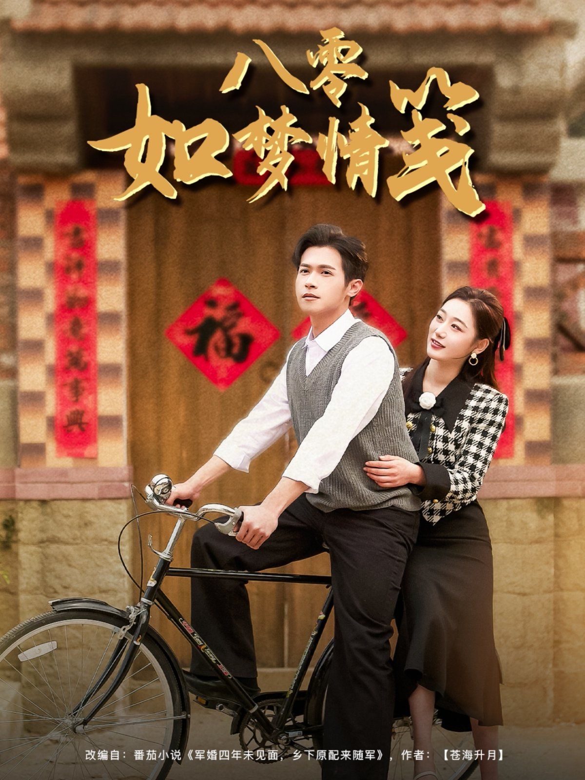 八零如梦情笺 第31-60集