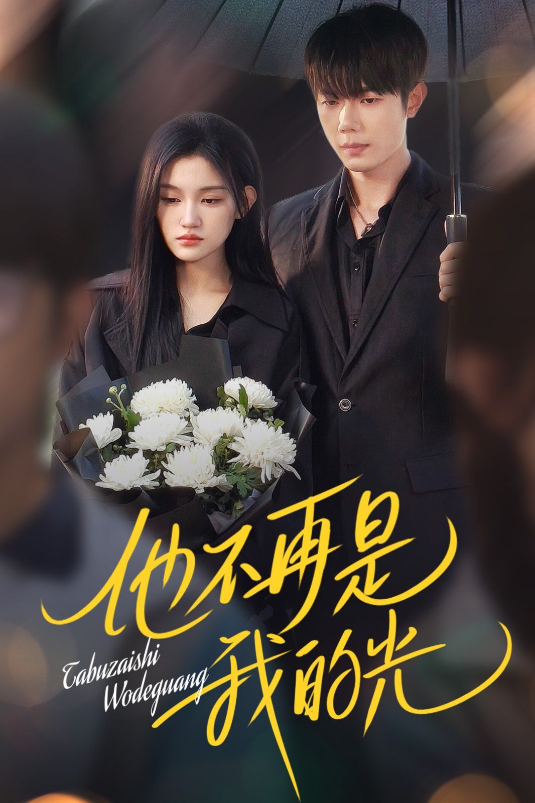 他不再是我的光 第1-30集