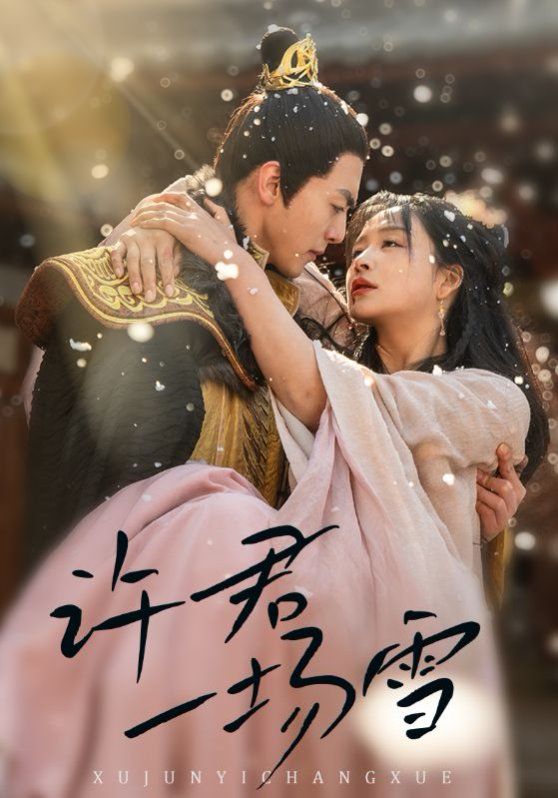 许君一场雪 第21-43集完结(大结局)