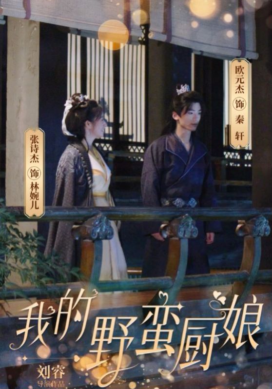 我的野蛮厨娘 第1-20集