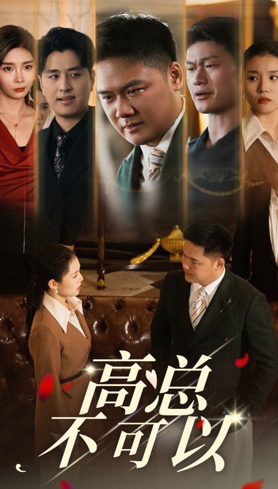 高总不可以 全集(大结局)