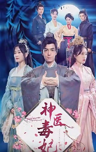 神医毒妃 第1-20集