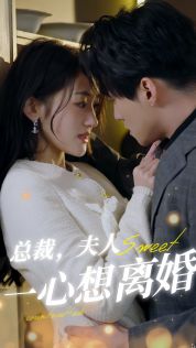 总裁，夫人一心想离婚 第1-20集