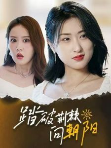 踏破荆棘向朝阳 第1-20集