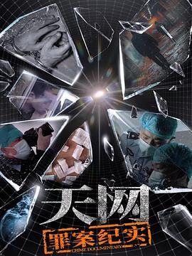 天网：罪案纪实(全集)
