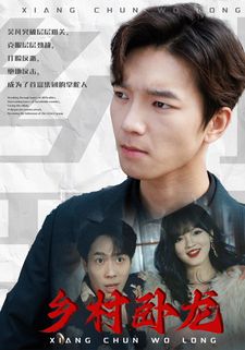 乡村卧龙 第21-40集