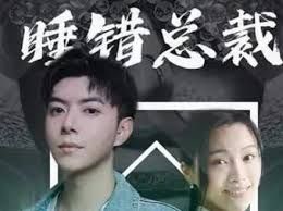 睡错总裁狂宠妻 第1-20集