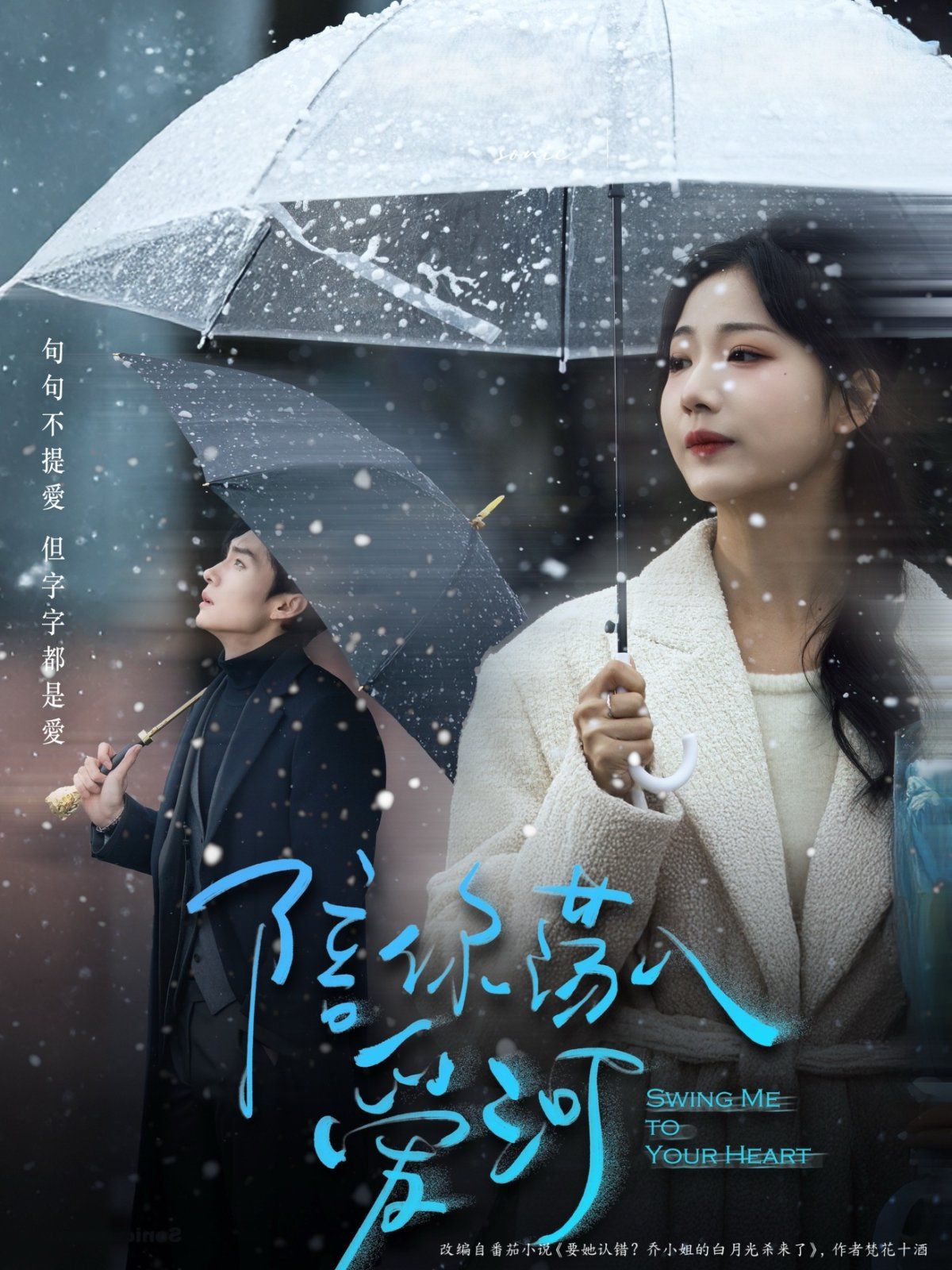 陪你荡入爱河 全集完结(大结局)