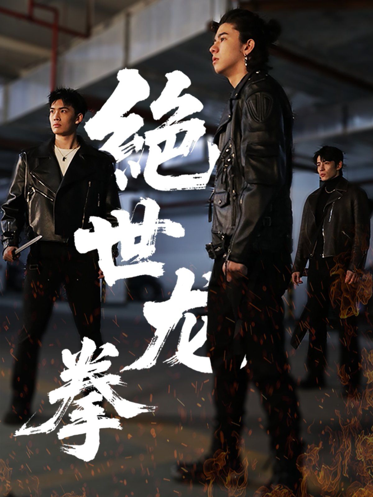 绝世龙拳 第1-20集