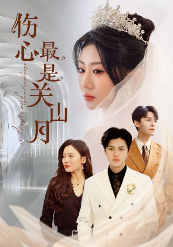 伤心最是关山月 第41-60集