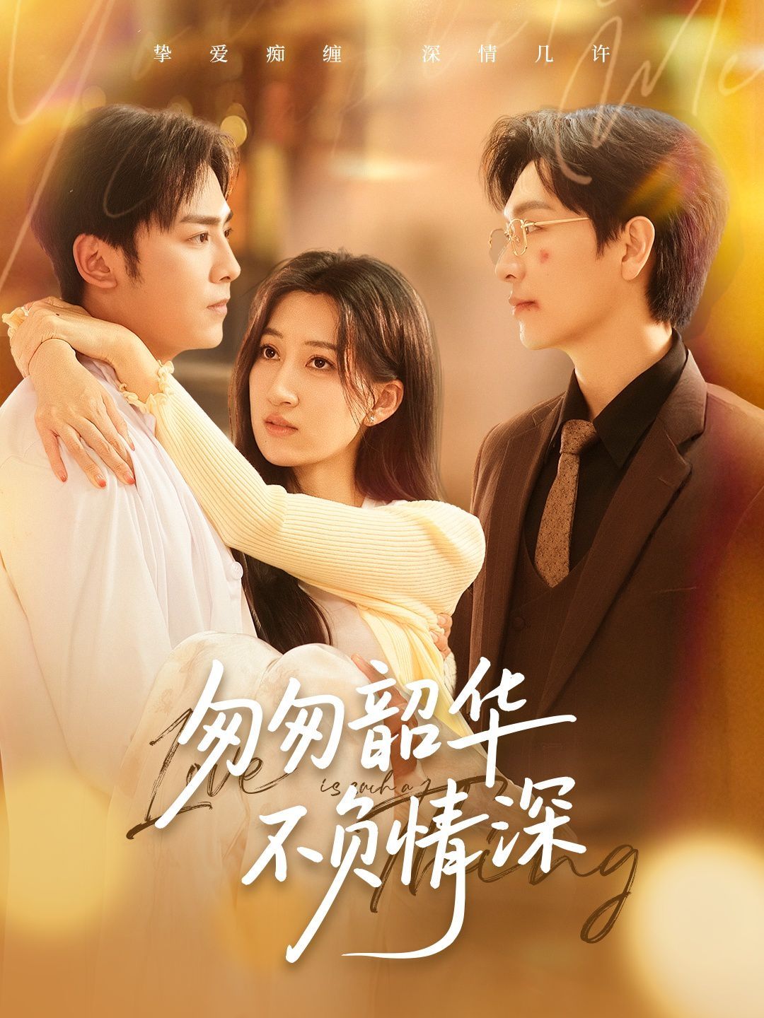 匆匆韶华不负情深(全集)