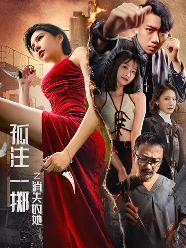 孤注一掷之消失的她 第1-20集