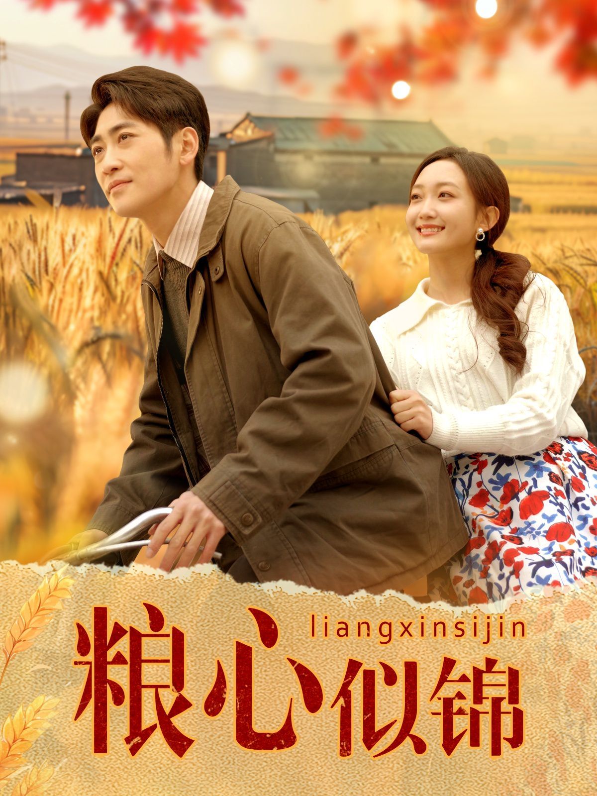 粮心似锦 第1-30集