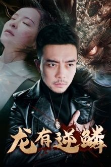 龙有逆鳞 第1-20集