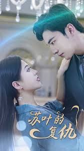 苏叶的复仇 全集完结(大结局)