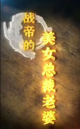 战帝的美女总裁老婆 第1-20集