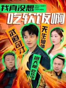 我真没想吃软饭啊 第1-20集