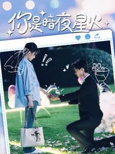 你是暗夜星火 第1-20集