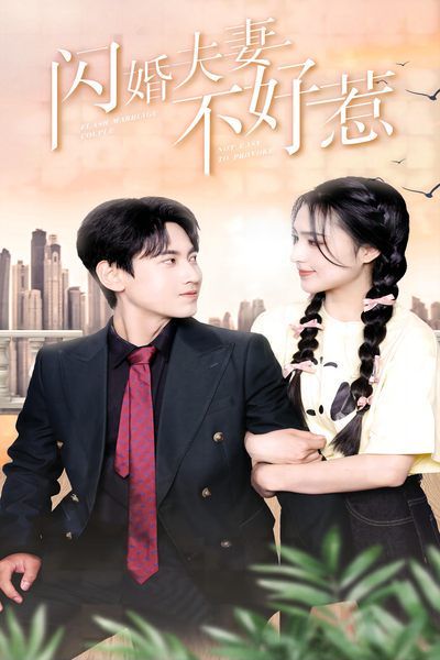 闪婚夫妻不好惹 第1-20集