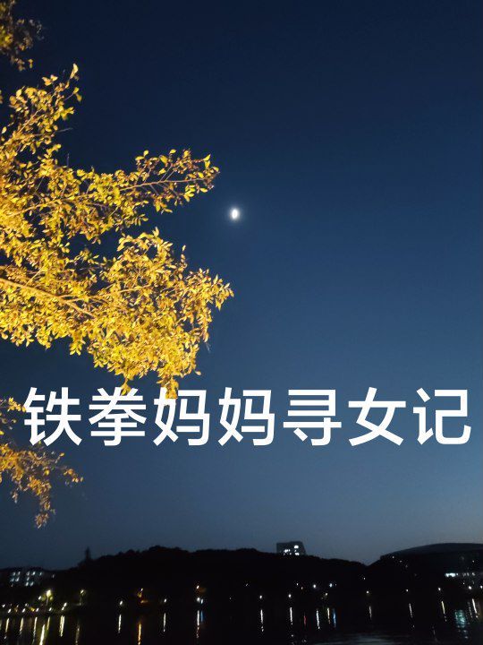 铁拳妈妈寻女记 第41-69集完结(大结局)