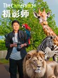 摄影师(2026)(全集)