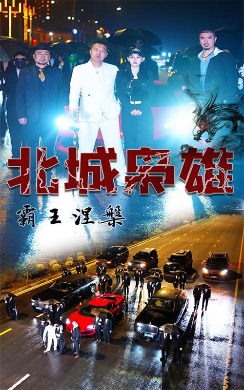 北城枭雄，霸王涅槃 第1-20集