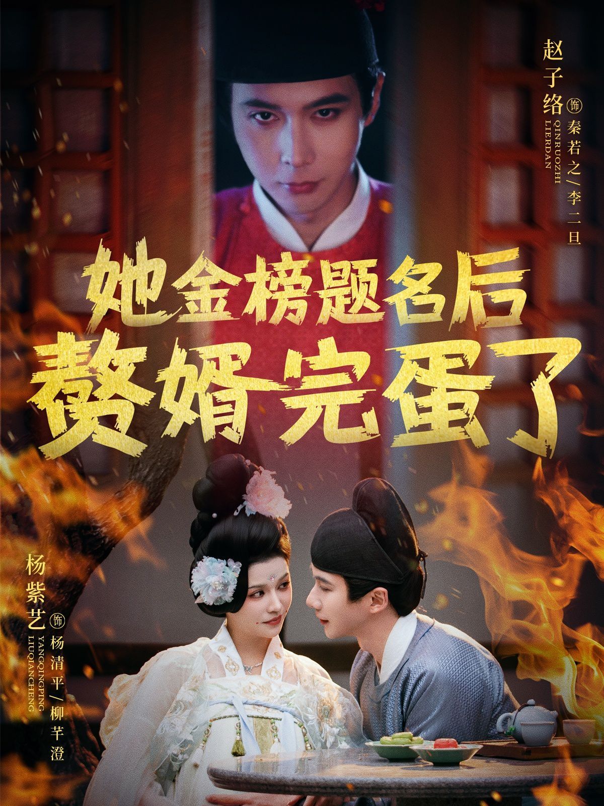 她金榜题名后赘婿完蛋了 第1-20集