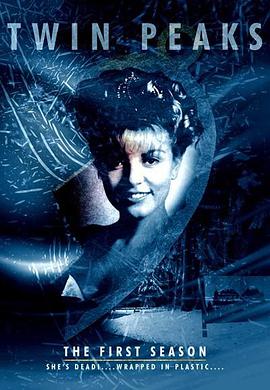 双峰第一季 第02集