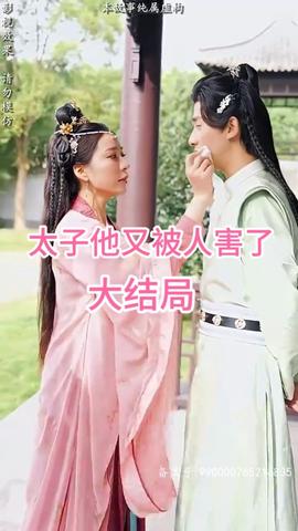 太子他又被人害了 全集(大结局)