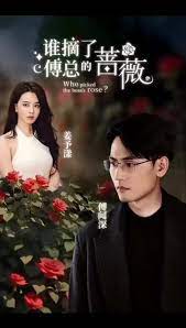 谁摘了傅总的蔷薇 全集(大结局)