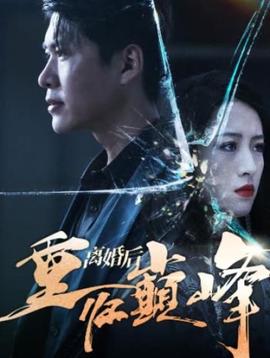 离婚后重回人生巅峰 全集(大结局)