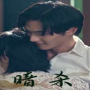 暗杀 短剧 全集(大结局)