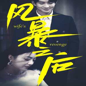 风暴之后 全集(大结局)